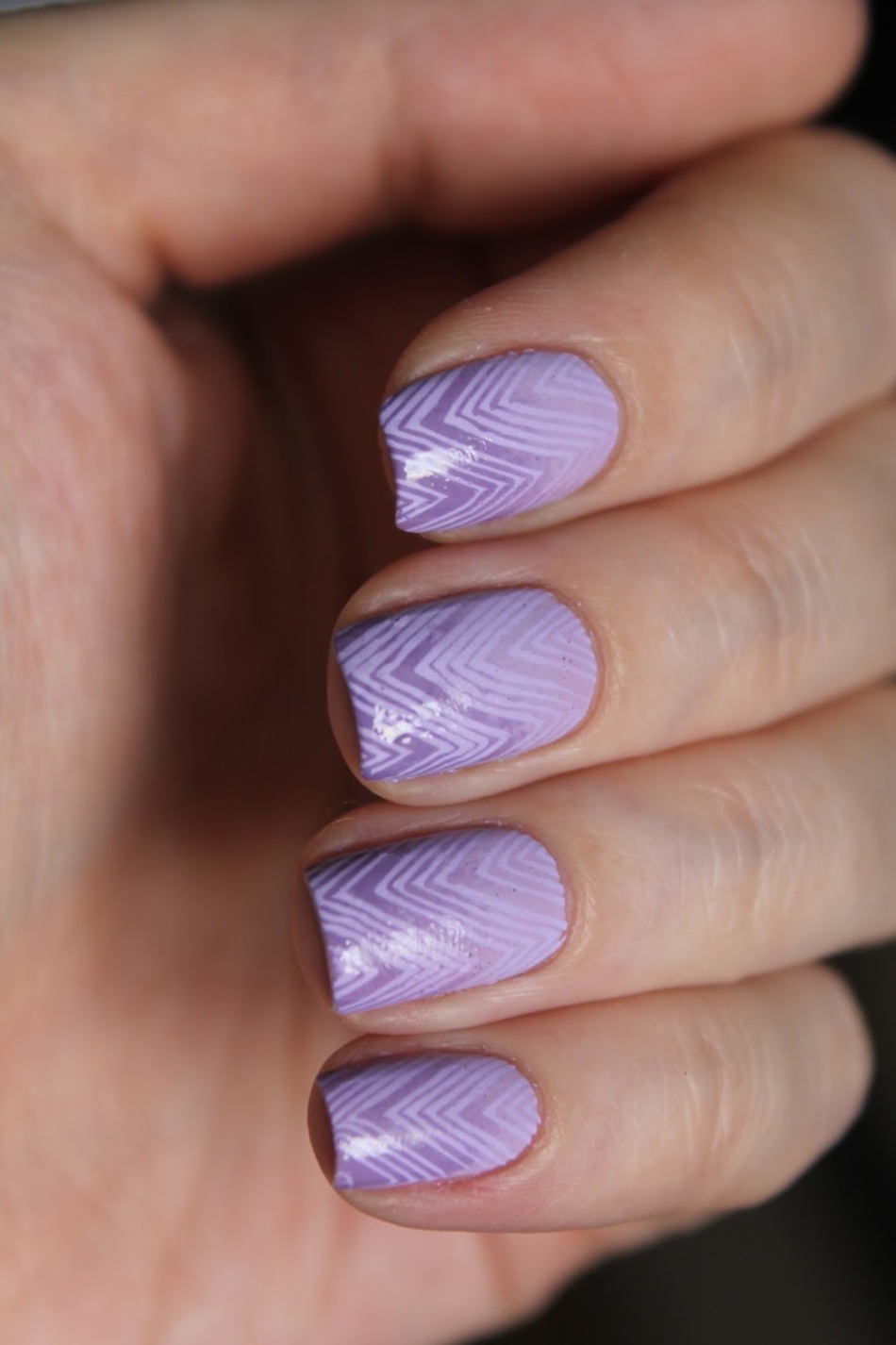Graceful lilac shades