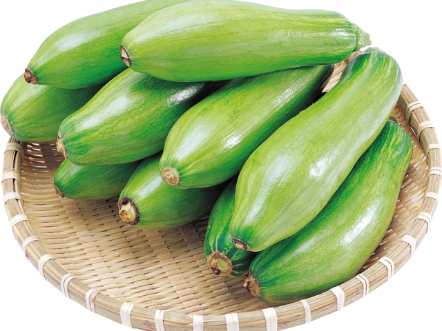 Zucchini benefits and harm to health. Recipes from zucchini: crispy little salted, pizza, cake, rolls with different fillings, lasagni
