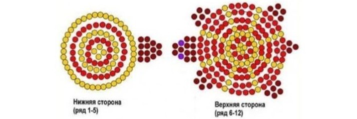 Scheme of weaving tortoise