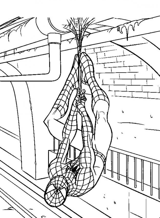 Risbe Spider-Man za skiciranje, možnost 19