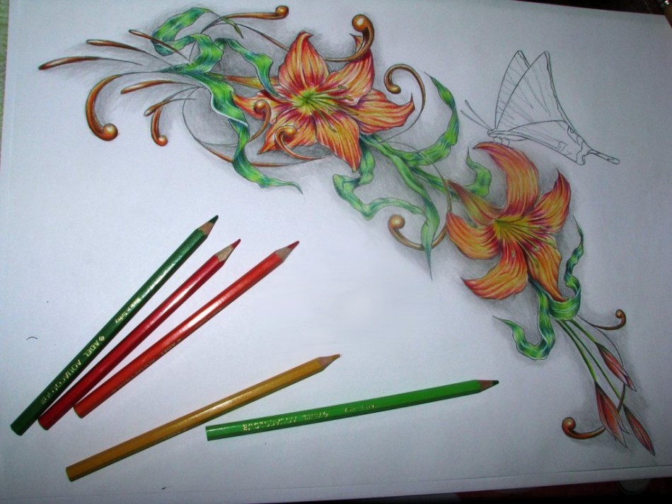 Нарисованные цветными карандашами лилии