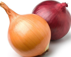 How the red onion differs from the white and ordinary on -hand: in properties, composition, taste and aroma