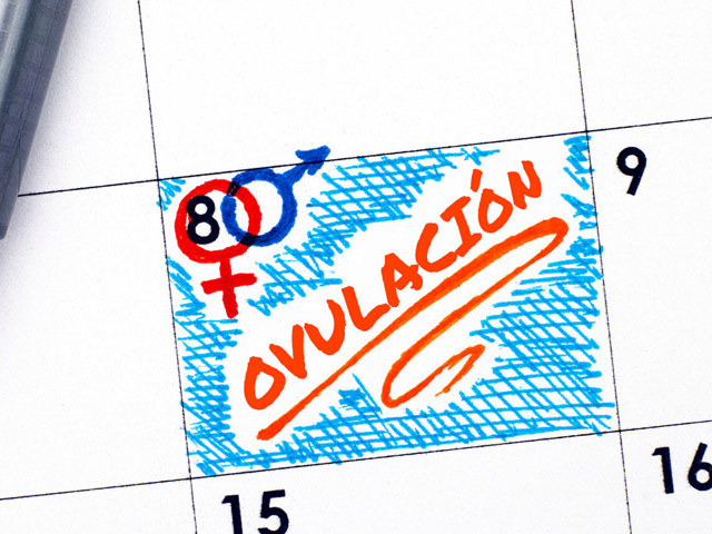 What is ovulation in women, its signs, the methodology of calculation, stimulation of ovulation, early and late ovulation: explanation in simple words