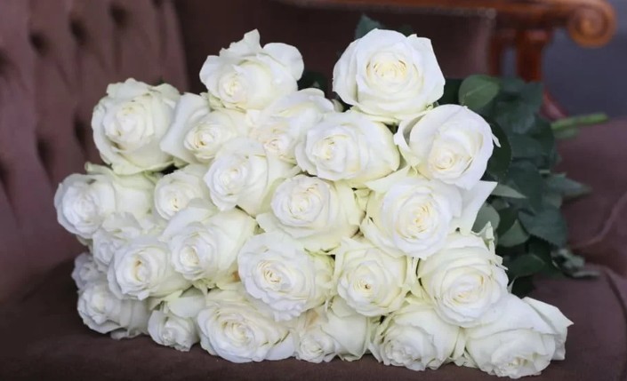 Rosas blancas