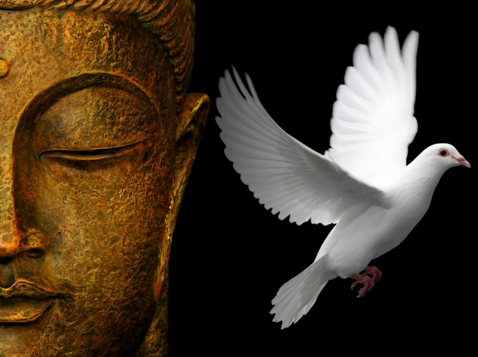 Дзен буддизм - философия и искусство жизни