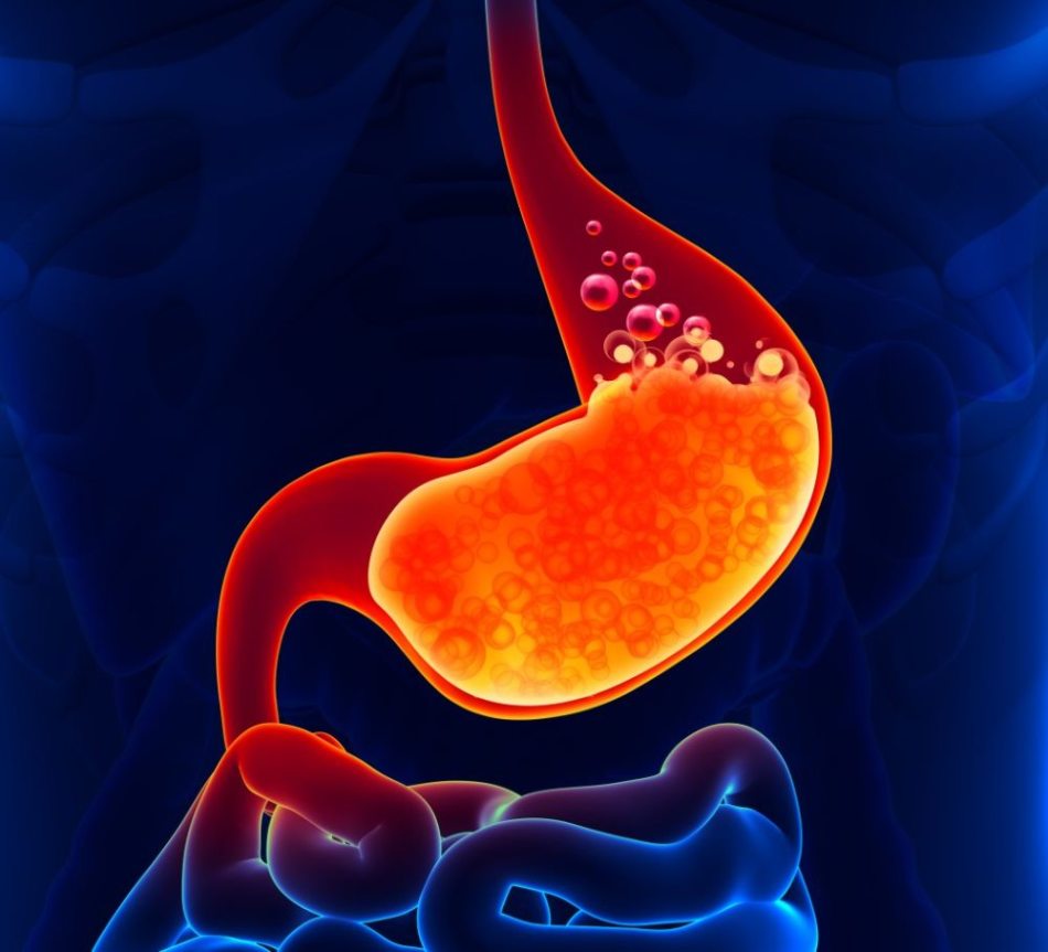 Origano per il trattamento del sistema digestivo