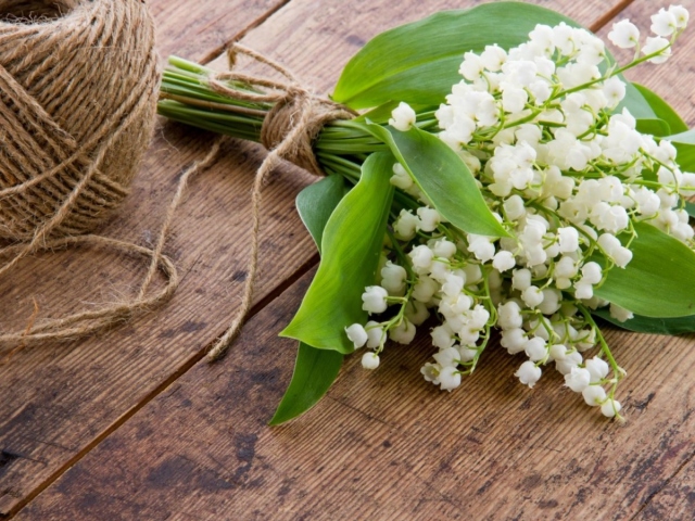 Kada Lily iz doline cvjeta? Lily of the Valley: Opis, zagonetke o dolini za djecu