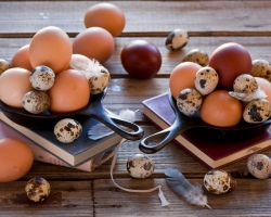 Apakah ada kolesterol dalam telur ayam dan puyuh? Apakah mungkin makan telur ayam dan puyuh dengan peningkatan kolesterol, aterosklerosis dan penyakit jantung?