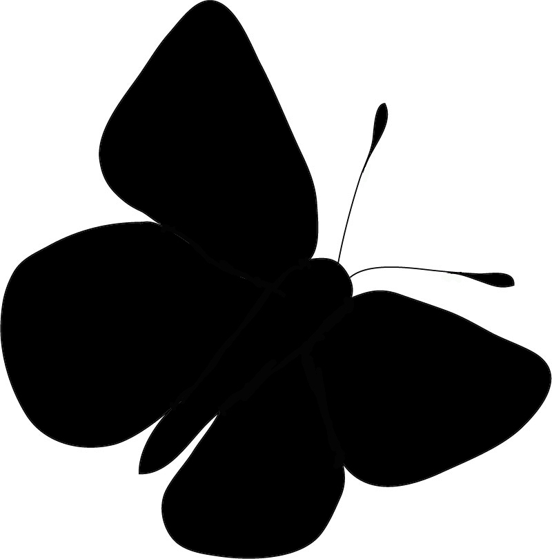 Drawing butterflies stencil - template, photo