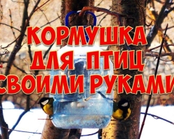 Do -it -yourself bird feeders from plastic bottles: ideas, description, instruction, photo. How to make a bird feeder of 1.5 liter, a large 5 liter plastic bottle, from 2 bottles?