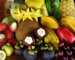 Frutas exoticas. Frutas de Tailandia, frutas tropicales de América del Sur: una fruta exótica del 94 por ciento para el juego