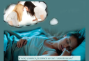 Razlaga sanj: Zakaj sanjati, da bi v sanjah videli in se počutili noseče? Zakaj sanjati o lastni nosečnosti poročene ženske, neporočene, deklice pri 14, 15, 16, 17, 18 let, moški, nosečnica: Interpretacija spanja. Zakaj so v sanjah rekli, da je noseča?