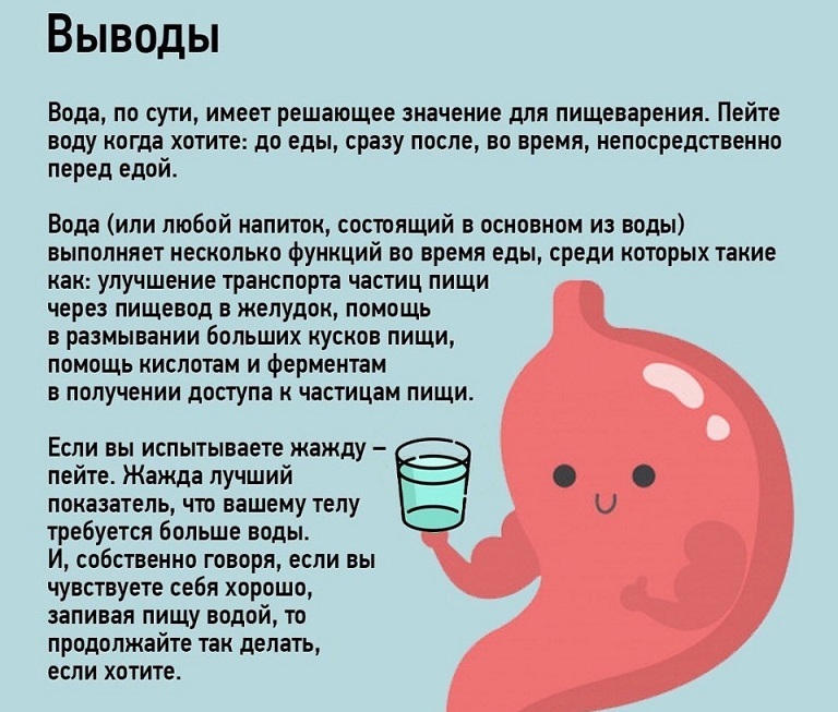 ¿Cuándo puedes beber agua antes, después de comer?