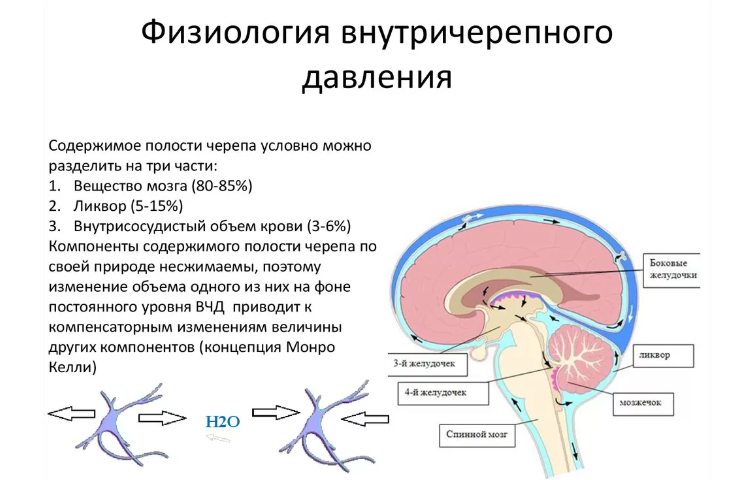 La pression intracrânienne est la pression dans les sinus de la coquille cérébrale