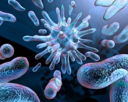 Biologie - Bactéries: Types, noms, nuisibles et utiles pour la vie humaine, numéro, forme