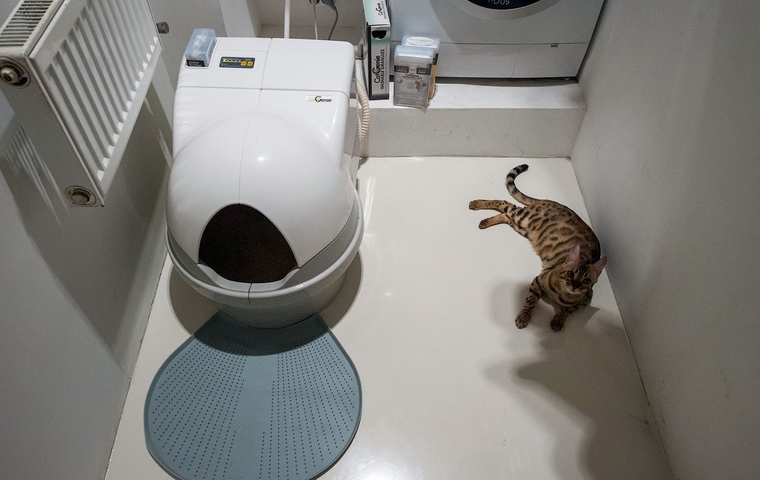 Биотуалет для кошек.