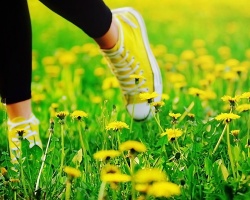 How and how to remove the spots from dandelion from clothes, jeans, jackets? How to remove traces of a dandelion of colored clothing?