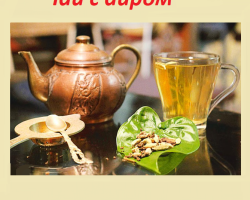 Как да приготвя чай с въздух - лечебна тръстика, растяща в блатата: какви са ползите, противопоказания