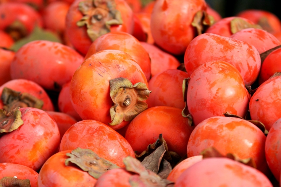How to choose a tasty and sweet persimmon?