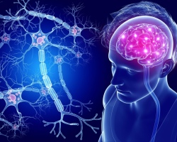 Acetylcholine is a mediator who can maintain balance in the nervous system