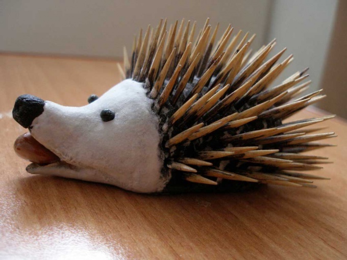 Hedgehog from the test