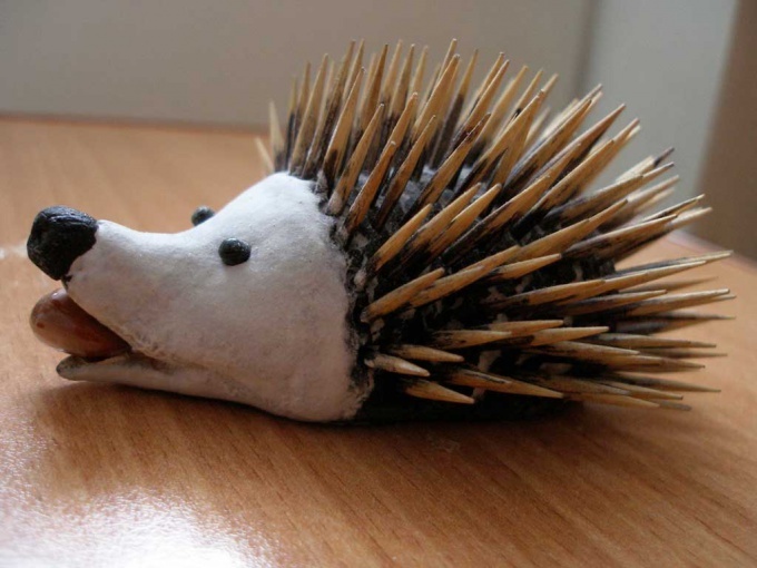 Hedgehog de la prueba