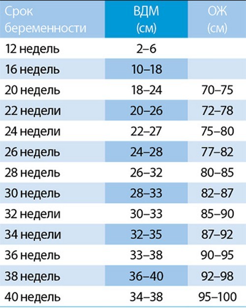 Таблица норм высоты дна матки и объема живота при беременности