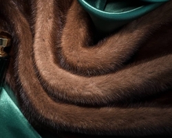 Scandinavian mink: how to distinguish from other types of mink? How to find out - is the Scandinavian mink: distinctive features. How to distinguish the Scandinavian mink from Chinese fur, fakes: tips