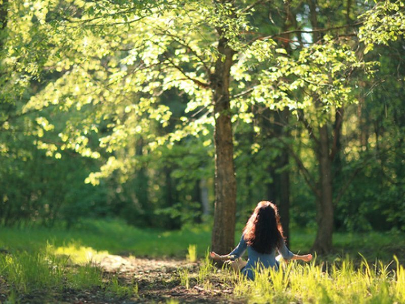 Walking in the forest