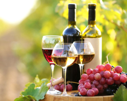 Vörösbor és fehér bor: Mik a különbségek? Melyik bor jobb, egészségesebb az egészség szempontjából, ami csökkenti a nyomást: fehér vagy piros, száraz, félig vagy édes és félig édes?