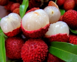 Exotic fruit of faces - fruits, bones, peel: composition, vitamins, beneficial properties and contraindications for the body of women, men, children, pregnant women, with breastfeeding, photo. Fruit, Lich's berry: how to choose, clean, store, as is?