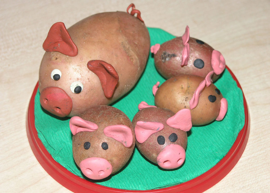 Piglets from potatoes