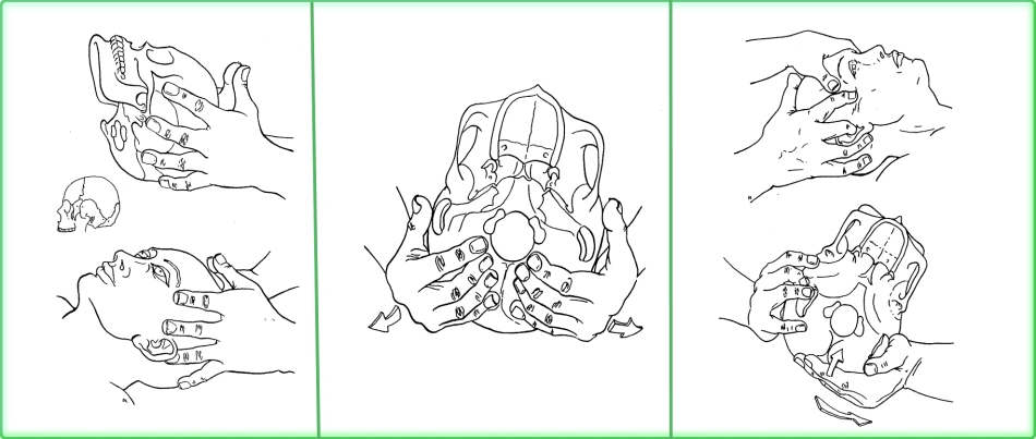 Craneosacral therapy of hands