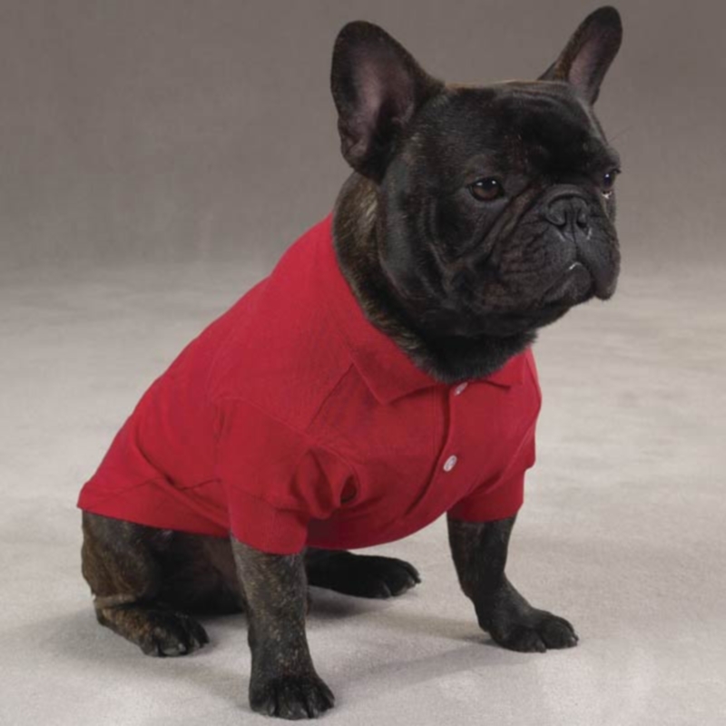Собака в красной рубашке