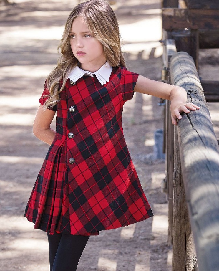 Girl in a beautiful fashionable dress