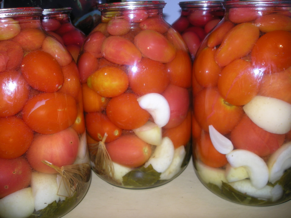 Tomaten explodieren aufgrund des Fermentationsprozesses.