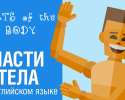 The theme of “parts of the body and face” in English for children: the necessary words, exercises, dialogue, songs, cards, games, tasks, riddles, cartoons for children in English with transcription and translation for independent study from zero