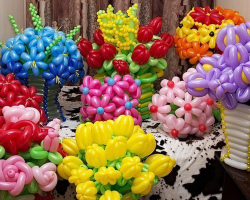 Kako narediti rože iz balonov z lastnimi rokami: korak -v koraku navodila, ideje. Kako narediti preprost in zapleten cvet, kamilico, vrtnico, šopek cvetov iz dolgih, SDM in okroglih balonov: shema. Najboljše rože iz balonov z lastnimi rokami: fotografija