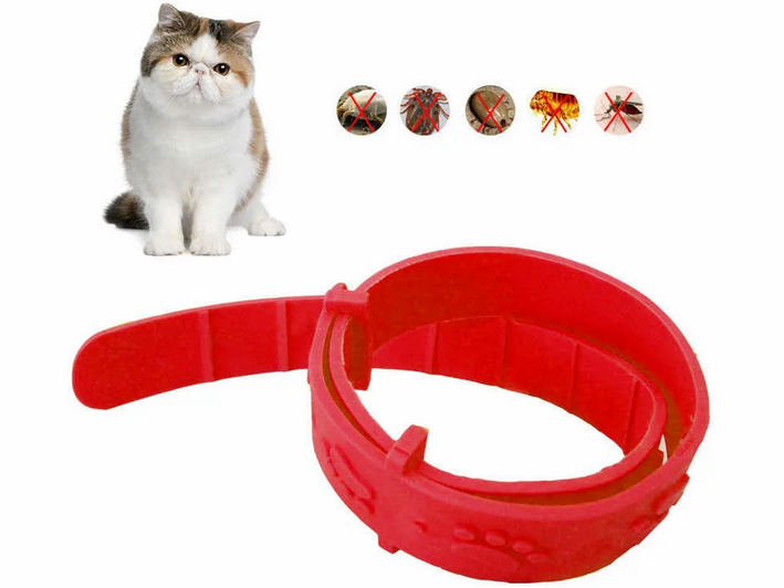 Flea and ticks collar - prevention so that the cat does not bald