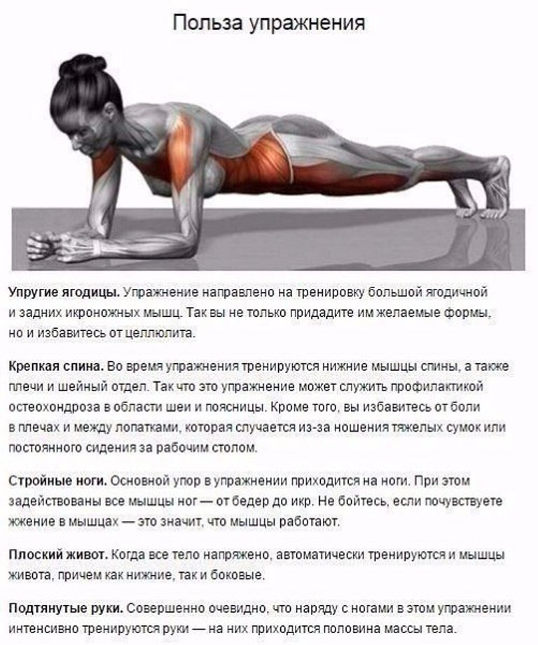 Польза планки для мужчин. Мышцы задействованные в планке. Упражнения и задействованные мышцы. Упражнения на ягодичные мышцы. Планка упражнение мышцы задействованные.