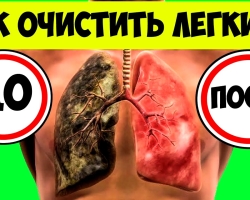 How to clean lungs and bronchi from harmful substances with the help of: infusions of herbs, food, inhalations, baths, breathing gymnastics, drugs? When do you need to clean the lungs and bronchi?