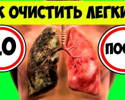 Comment nettoyer les poumons et les bronches à partir de substances nocives à l'aide de: Infusions d'herbes, de nourriture, d'inhalations, de bains, de gymnastique respiratoire, de médicaments? Quand avez-vous besoin de nettoyer les poumons et les bronches?