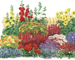 How to draw a flowerbed with a pencil flowers in stages for beginners and children? How to draw a flower bed with flowers in stages?