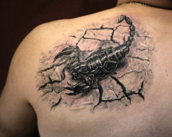 What does a scorpion tattoo mean on the arm, brushes, finger, shoulder, neck, leg, thigh, back, stomach, pubic, lower back, forearm, face, breasts for men and women, in the criminal environment? Scorpio tattoo: location, varieties, sketches, photos