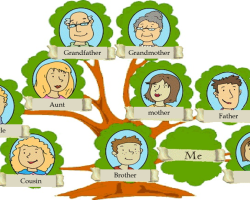 How to draw a family tree with a pencil with your own hands? How to make a family tree of your family: a sample