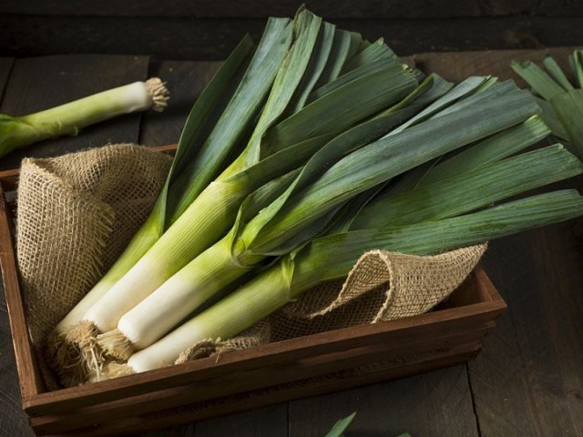 Wenn die Zwiebeln zur Lagerung aus den Betten entfernt werden: die Bedingungen der Ernte. So graben Sie die Zwiebeln für den Winter für Speicherprodukte richtig aus: Tipps