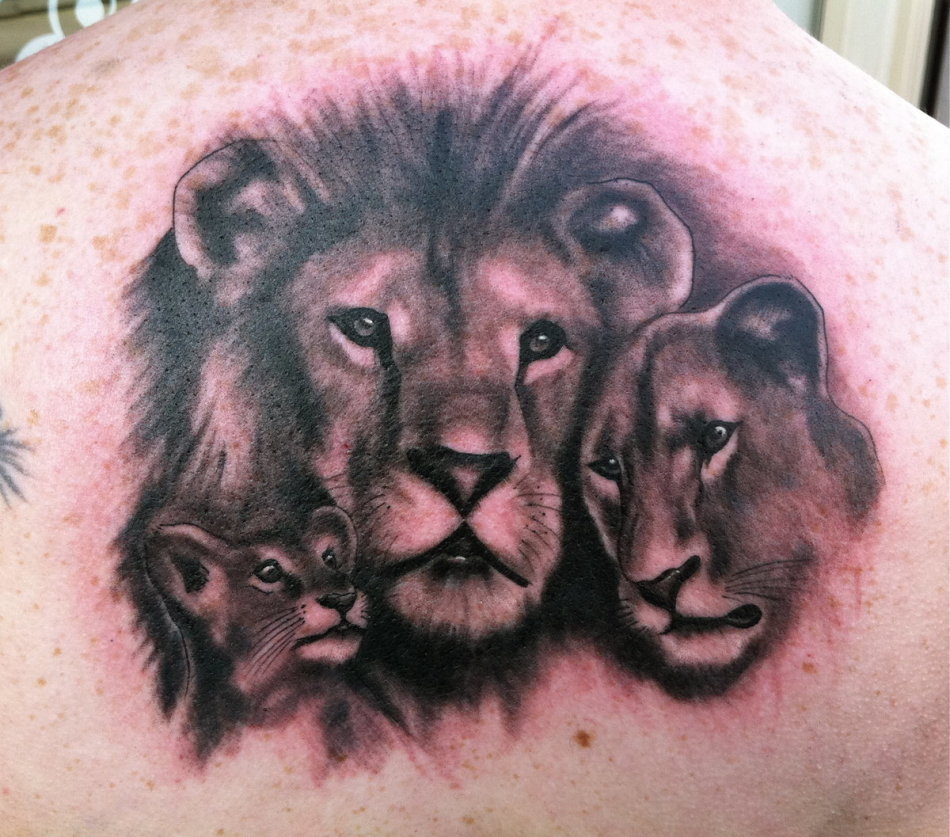 Семья львов семья львов 4