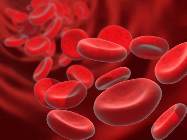 Hemoglobin pada wanita - norma berdasarkan usia: tabel. Cara meningkatkan dan menurunkan hemoglobin: obat -obatan, vitamin dan suplemen makanan, makanan, makanan yang meningkatkan hemoglobin, tips