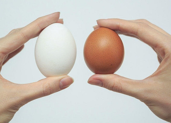 The size of the eggs does not depend on the color of the shell!