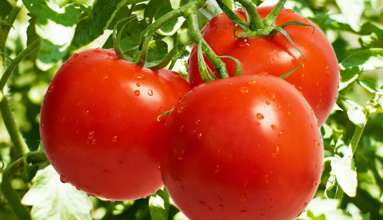 Les tomates provoquent des brûlures d'estomac
